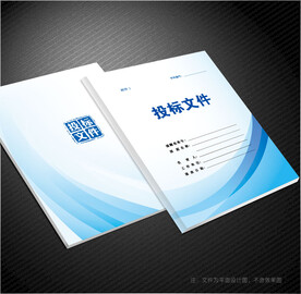 投标文件