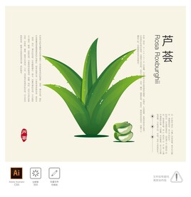 芦荟 插画