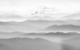 中国风水墨山水墙画