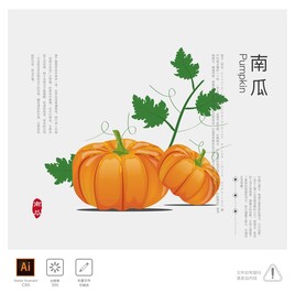 南瓜 插画