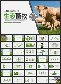 生态牧场畜牧业养殖牛群PPT