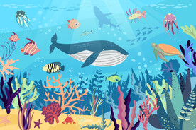 卡通蓝鲸手绘海底动物珊瑚背景墙