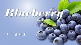 蓝莓