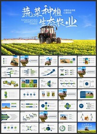 绿色有机蔬菜水稻农业PPT