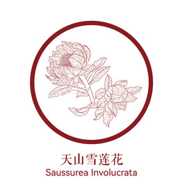 雪莲花失量线稿花纹素材