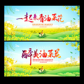 油菜花