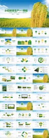 绿色有机蔬菜水稻农业PPT