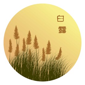 二十四节气白露背景图矢量图