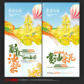 油菜花