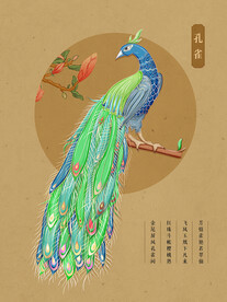 手绘国潮风孔雀插画