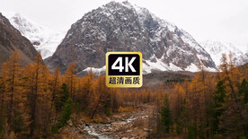 远山丛林小路美景