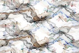 水波纹   蜻蜓   抽象