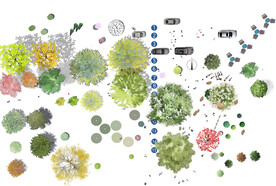 小清新彩平植物平面图