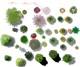 彩平树平面树地产景观平面