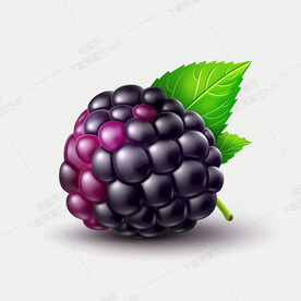 高清桑葚效果图