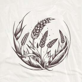 高品质矢量包装插画 粮食插画