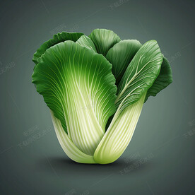 大白菜卡通画