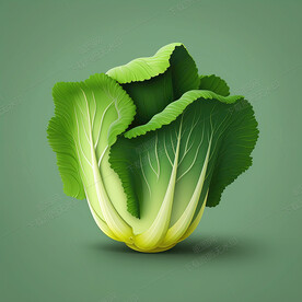 手绘大白菜