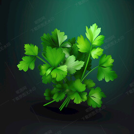 卡通香菜叶