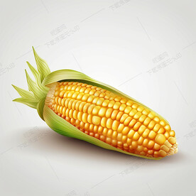 嫩玉米