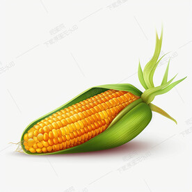 卡通玉米