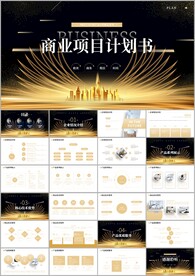 创业项目融资商业计划书ppt