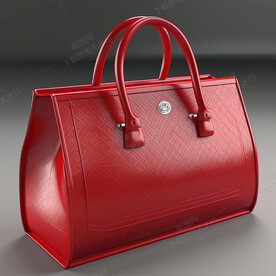 精美的红色女包