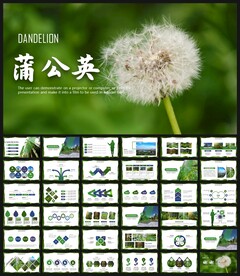 绿色清新蒲公英教育教学PPT