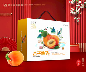杏礼盒 黄杏包装