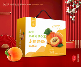 杏礼盒 黄杏包装