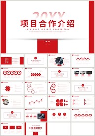 红色项目合作介绍项目策划PPT