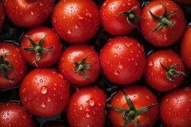 小番茄背景素材