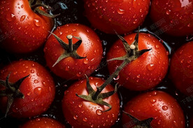 小番茄背景素材