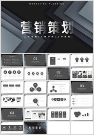 商务营销策划策划推广方案PPT