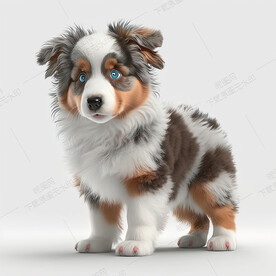 卡通澳大利亚牧羊犬