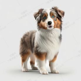 卡通澳大利亚牧羊犬