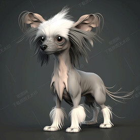 卡通中国冠毛犬