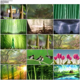 朗诵《笋芽儿》led舞台背景视