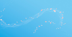 飘扬的粉色花瓣