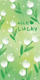 白色郁金香手机壳图