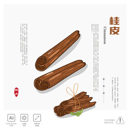 桂皮 插画