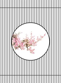 高清分层透明底推拉门打印图