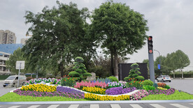 城市节点五一花镜