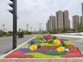 城市节点元旦花镜