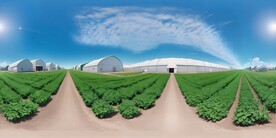 大棚农业全景图