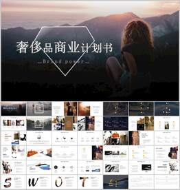 奢侈品商业计划书ppt