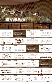 恐龙博物馆宣传介绍动态PPT