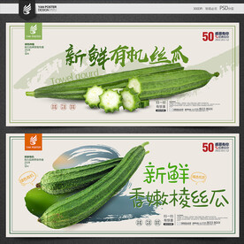 丝瓜