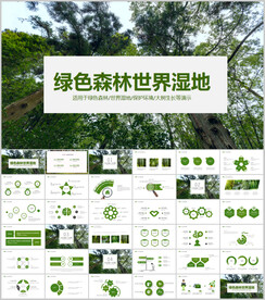 湿地环境保护生态森林业PPT