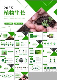 植物发芽植物生长敬畏生命ppt